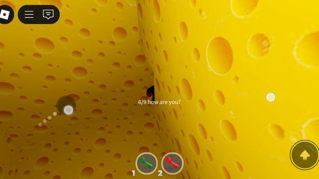 Побег сырный ужас
 Сава играет