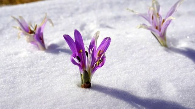 Мораль для избранных, или почему олигархи не говорят о деньгах.