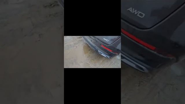 JAECOO👉☝️Ребята, ей и так два понедельника жить осталось, она и так землёй сновья пахнет, ну куда