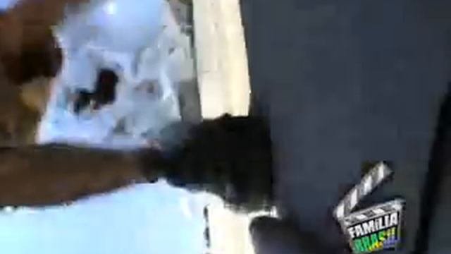 SKATEBOARD CRASH GOOD BYE FISH EYE