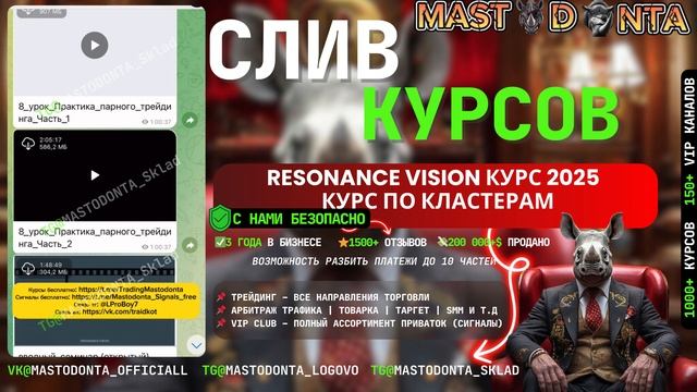 Resonance Vision курс 2025 года