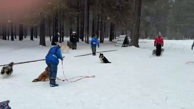 VID-20250309-WA0063