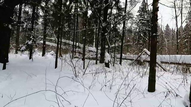 Марафон у дома. BlizkoTrail.