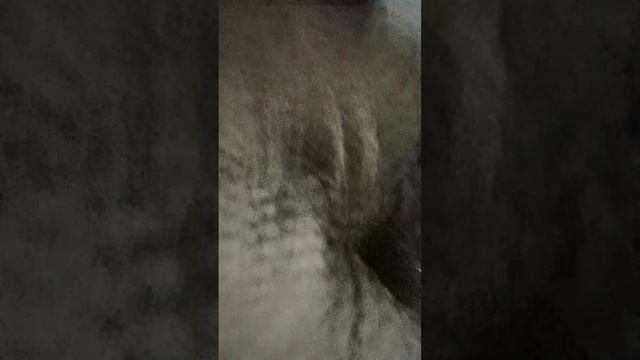 1000010295.mp4