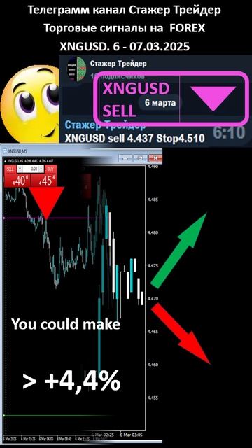 Стажер Трейдер FOREX XNGUSD 03.25