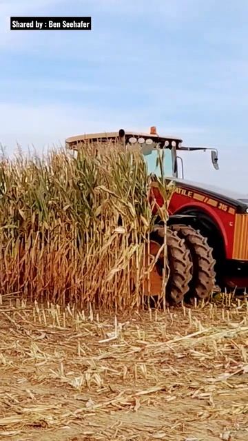 Versatile 315 (9.0L) corn threshing with PURE SOUND:ON HD #shorts