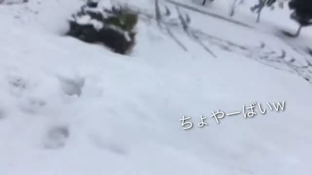 【SMP】冬ノー記憶 - 手作りスキー板を改良して滑ってみた - (SMAPじゃないよ)