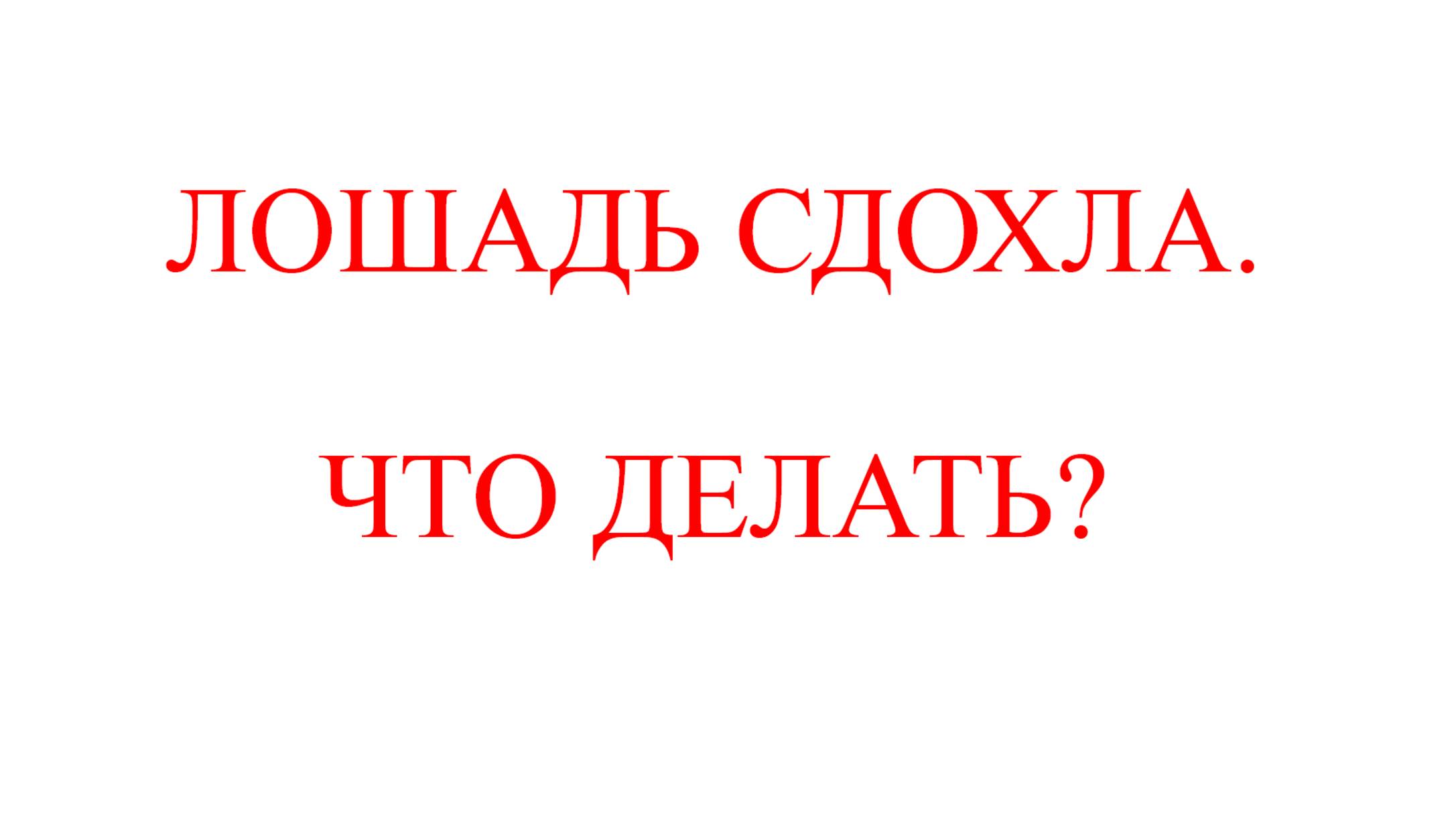 Лошадь сдохла. Что делать?