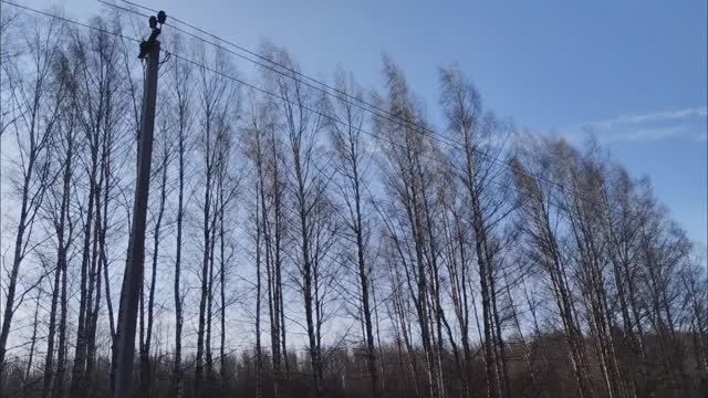 Уже с утра задувает ветер