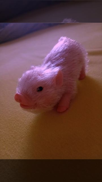 ФотОсЕсСиЯ с ФуНеЙ💖🎀