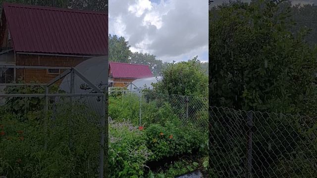 1000055462.mp4