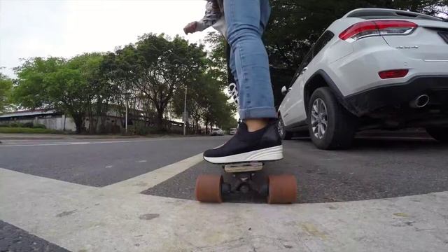 Maxfind Electric Skateboard