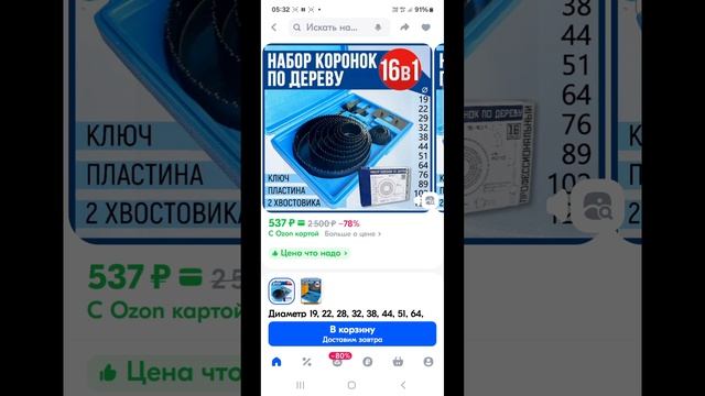 1000018014.mp4 (Собака смотрит на электроснабжение дома А-фрейм)