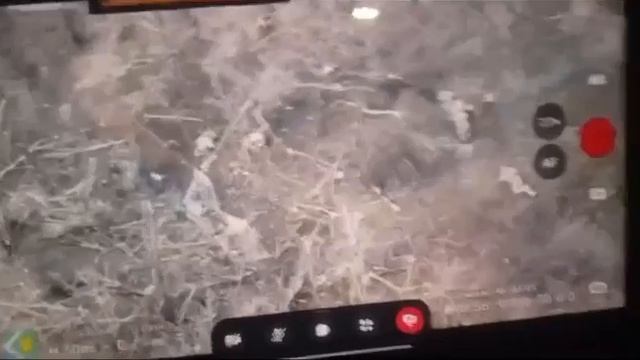 Наш боец положил пидргруппу штурмовиков ВСУ