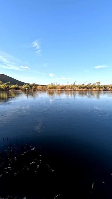 #рыбалка #бычок