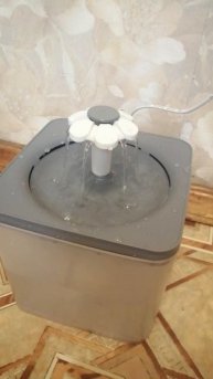 Поилка для котов