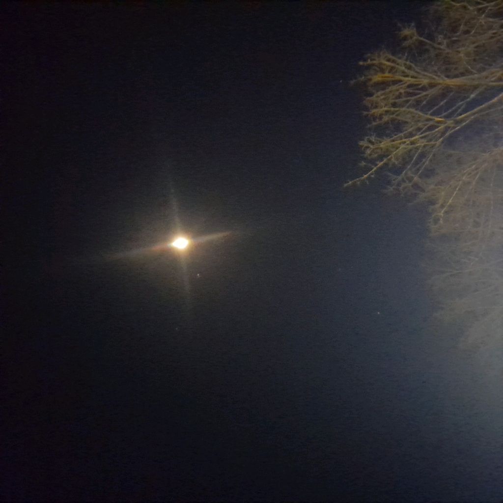 ещё дорс
