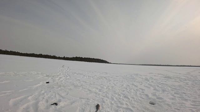 8 Марта! Отрываемся!