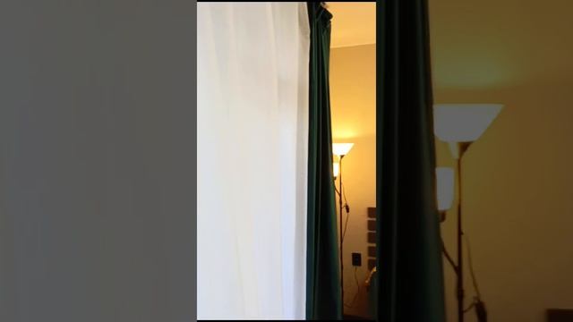 VID-20250309-WA0011.mp4