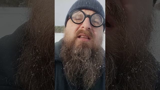 Одинокая ветка сирени.mp4