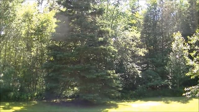 Cheerson SH6057 4CH Creative Egg RC Quadcopter Flight Review