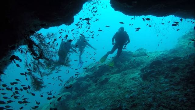 Diving Philippines - Liveaboard Philippines - Tauchen Philippinen - Tauchsafari Philippinen