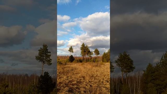 Холмы Паустовского 07.03.25