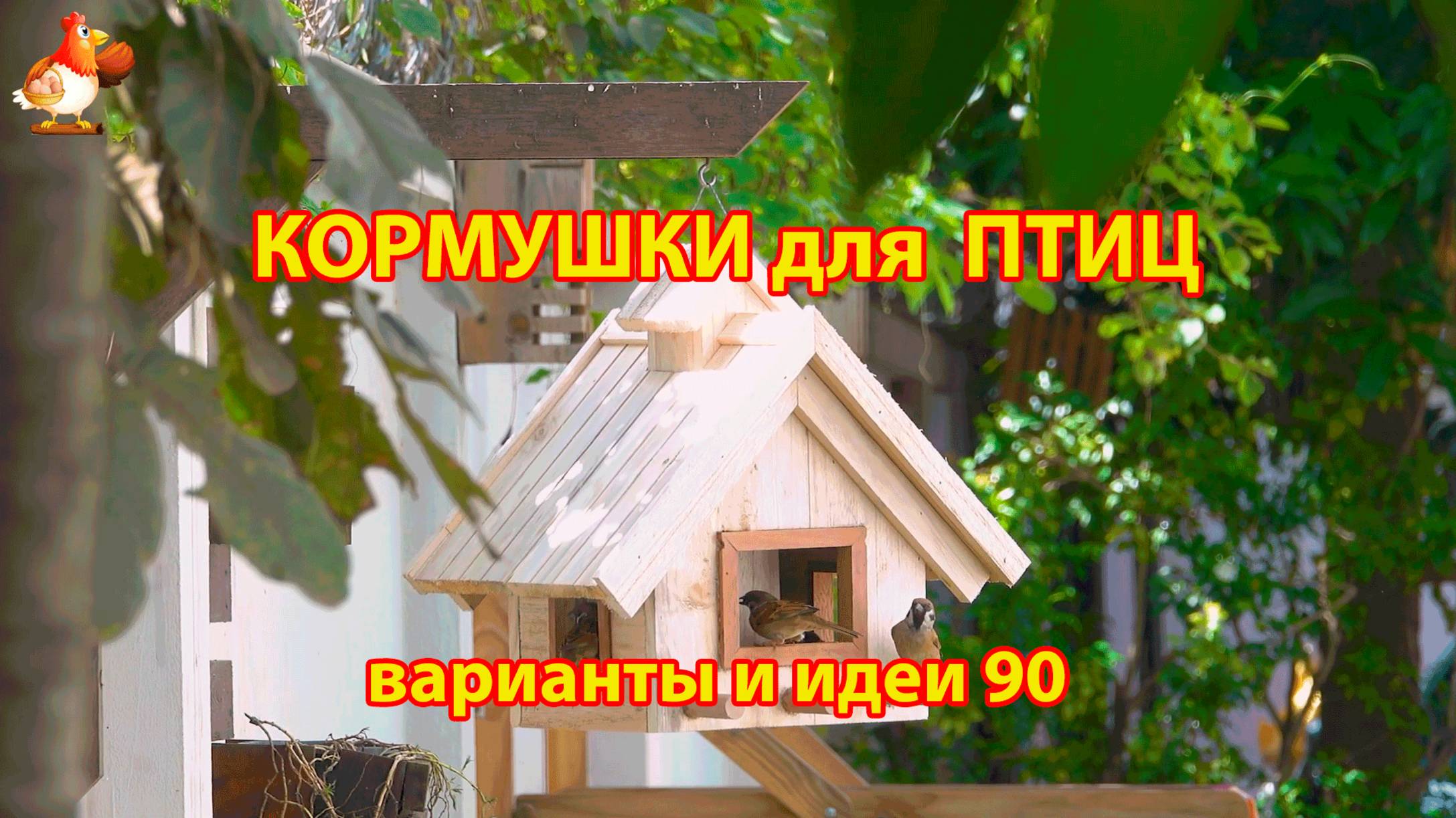 Кормушка для птиц своими руками как сделать пошагово  (90) 🪚🪛🔨 Идеи для дачи и сада❣️