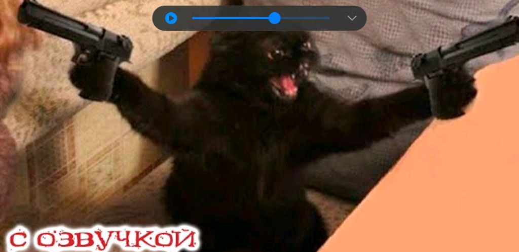 животных