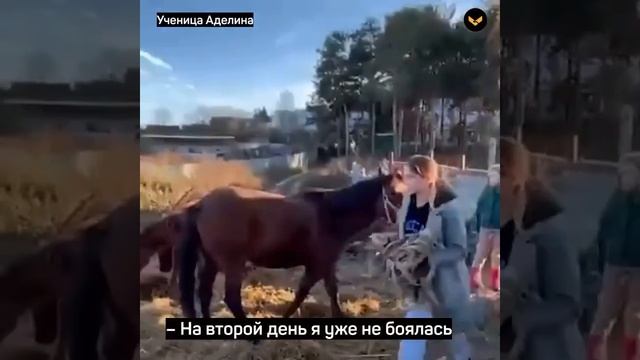 ПЕНСИОНЕР БЕСПЛАТНО УЧИТ ДЕТЕЙ ВЕРХОВОЙ ЕЗДЕ