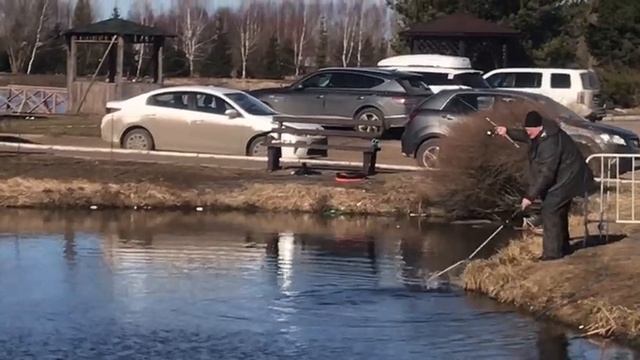 поимка форели на фидер