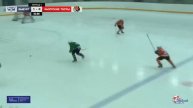 Кубок Добрый лед, 2017, Сочи