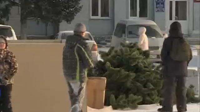 Не снежные городки