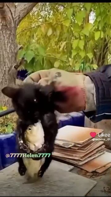 1000016589.mp4