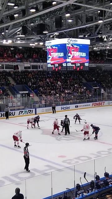 торпедо нн красава 5 - 2 6 января 2023 г.