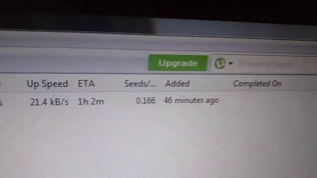 10mbps torrent speed (GTA 5)