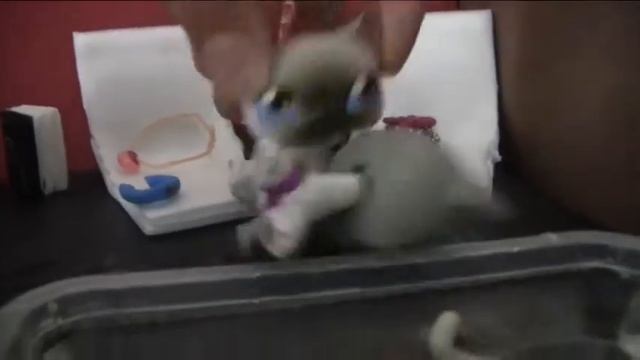LPS немного отдыха!