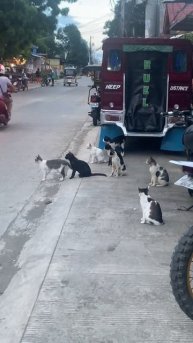 Ты приходи один, мы тоже одни придём.