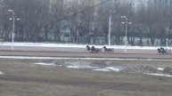 Московский ипподром. Бега. 19.03.17. Заезд 8(114)