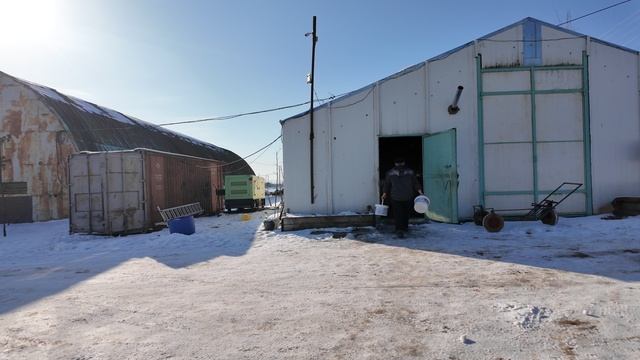 Выносим малька осетра в садки
