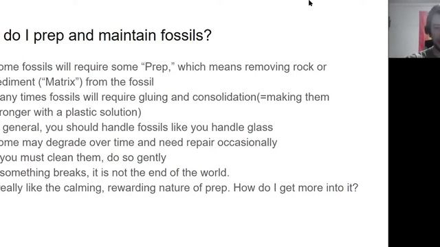 How to start a fossil collection: cleaning, cataloging, labeling, storing, organizing