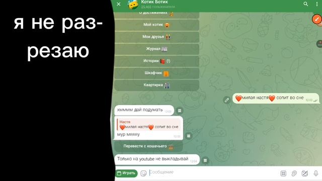 видело :милый котик спит