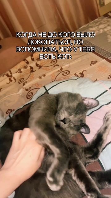 Кожаная опять пристает ко мне😁