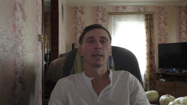 Почему триммер для покоса травы не запускается?