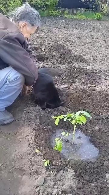 1000076039.mp4