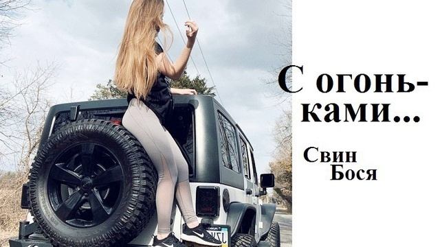 Свин Бося . С огоньками...