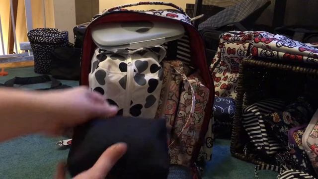 Berry Pod packed inside Ju Ju Be Be Prepared, BFF, and Be Right Back