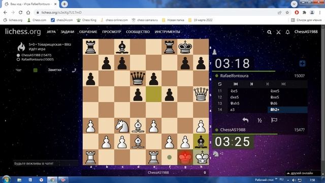 Шахматы 40