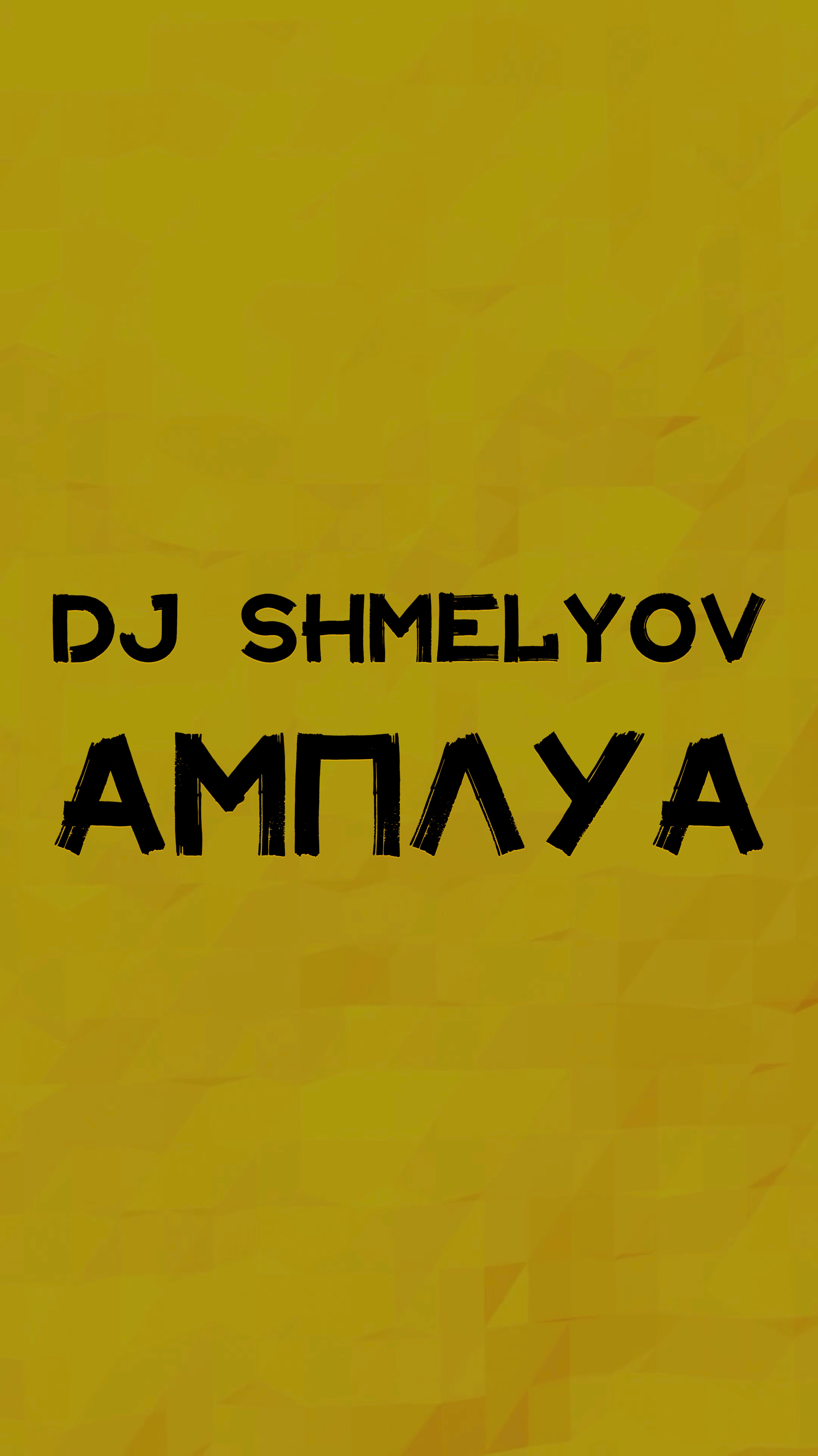 DJ SHMELYOV АМПЛУА