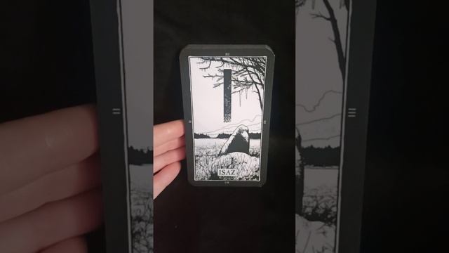 VID_20250309_101642